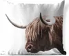 MuchoWow® Outdoor Kissen - Schottisches Hochlandrind - Produktbild-Vorschau 1