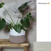 A potted plant in a crocheted basket on a wooden bench. Produktbild-Vorschau