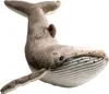 Carl Dick, balena megattera di circa 40 cm, peluche 3660 Anteprima dell’immagine prodotto 1