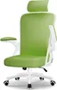 A green and white ergonomic office chair with a headrest, shown from the front.