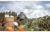 Big Green Egg Medium Keramikgrill Produktbild-Vorschau 5