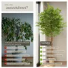 tectake® Künstlicher Ficusbaum Fida verschiedene Größen Produktbild-Vorschau 4