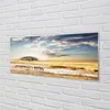 Glasbilder 125x50 Wandkunst Zebra Wolken Baum Produktbild-Vorschau 2