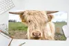 MuchoWow® Mauspad Mousepad Schottische Highlander - Licht - Produktbild-Vorschau 5
