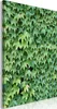 Vliesstoff Leinwandbild - Thick Ivy (1 Part) Vertical Produktbild-Vorschau 1