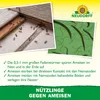 Neudorff Nützlinge gegen Ameisen – 10 Mio. SF-Nematoden Produktbild-Vorschau 4