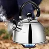3L Flötenkessel Gasherd Camping Edelstahlkessel mit Pfeife Produktbild-Vorschau 5