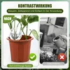 8 Stück Bewässerungskugeln, Wasserspender Pflanzen, Produktbild-Vorschau 5