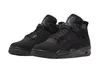 Air Jordan 4 Retro 'Black Cat' 2020:EU42.5 Produktbild-Vorschau 1