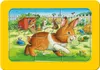 Ravensburger Moji zvířecí přátelé Náhled obrázku produktu 5