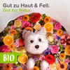 beaphar  Trocken-Shampoo für Hunde und Katzen, sanfte Produktbild-Vorschau 3