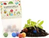 50 Blumenmurmeln im Tütchen 10 Tütchen á 5 bunte Seedbombs Produktbild-Vorschau 9