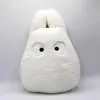 Il mio vicino Totoro Nakayoshi Cuscino bianco Totoro Anteprima dell’immagine prodotto 1