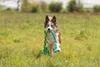 TRIXIE Bungee Tugger, Fleece - diverse - 85 cm Produktbild-Vorschau 3
