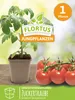 Kirschtomatenpflanze Zuckertraube | Tomatenpflanzen von Produktbild-Vorschau 1