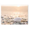 MuchoWow® Mauspad Mousepad Muscheln - Weiß - Strand - Produktbild-Vorschau 1