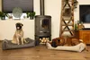 Beeztees Memory Foam Hundebett Zia beige, Maße: 100 x 80 x Produktbild-Vorschau 4