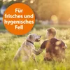 Ardap Anti Floh Hunde Shampoo 250Ml Produktbild-Vorschau 7