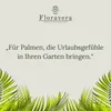 Floravera Premium Palmen Flüssigdünger 1 Liter Palmendünger Produktbild-Vorschau 2