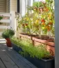 Veľkoobjemový truhlík Berberis DUO 80 cm - terakota Náhľad obrázku produktu 11