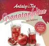 Granatapfel Instant Getränkepulver 1 kg aus Antalya – für Produktbild-Vorschau 4
