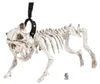 WIDMANN Deko Hundeskelett mit Leine 45cm Produktbild-Vorschau 2
