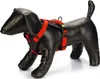 Beeztees Parinca Premium Y-Geschirr - Hundegeschirr - Nylon Produktbild-Vorschau 2