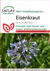 Artikelbild 1 von 'Eisenkraut' aus der Kategorie Blumensamen Produktbild-Vorschau
