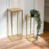 Two gold metal plant stands of different heights are placed against a white wall with molding. A potted plant with trailing vines sits on the shorter stand. Anteprima dell’immagine prodotto