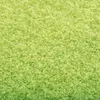 A close-up, textured view of green carpet or artificial grass. Voir les images du produit