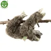 Bradipo di peluche ECO-FRIENDLY 30 cm (8590687220836) Anteprima dell’immagine prodotto 4