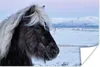 MuchoWow® Poster Pferd - Schnee - Island 60x40 cm - Produktbild-Vorschau 1