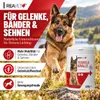 REAVET Afrykański diabelski pazur dla psów i kotów 500g - Podgląd zdjęcia produktu 2