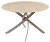 riess-ambiente Esstisch ALPINE 120cm natur champagner Produktbild-Vorschau 12