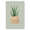 MuchoWow® Mauspad Mousepad Pflanzen - Aloe Vera - Produktbild-Vorschau 1