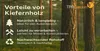 TPFGarden GARTENBANK Drieburg 3-Sitzer 150cm aus Kiefer Produktbild-Vorschau 10