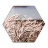 DEQOART Glasbild Echtglas 55x48 cm 'Sommerlicher Flimmer' Produktbild-Vorschau 1