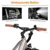 Hiland 26 Zoll 250W Elektro-Mountainbike, 36V 7.8Ah Akku, Produktbild-Vorschau 2
