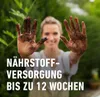 COMPO SANA® Qualitäts-Blumenerde 50 % weniger Gewicht 40 Produktbild-Vorschau 8