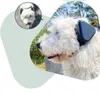 A close-up of a white dog wearing a black device on its head, with a smaller inset image of the same dog. Produktbild-Vorschau
