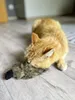 Aumüller Katzenspielzeug Frettchen grau mit Füllung 42 x 10 Produktbild-Vorschau 2