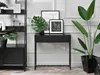 A modern living room with a black console table, a bookshelf, and plants. Produktbild-Vorschau