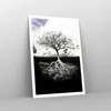 Poster - Poster ohne Rahmen - Baum die Wurzeln Reflexion - Produktbild-Vorschau 7