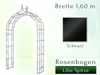 GardenAndPools Rosenbogen HOLLAND Lilie-Spitze B1,60 m Produktbild-Vorschau 10