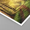 Poster - Poster ohne Rahmen - Wald Baum Natur - 91,5x61 cm Produktbild-Vorschau 2