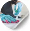 A person wearing blue gloves is cleaning a white surface with a pink cloth and a spray bottle. Produktbild-Vorschau