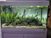 Aquarium Steine Lava Vulkangestein Schwarz 15 kg, Produktbild-Vorschau 7