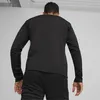 Puma Teamgoal Trainingssweat Herren - Schwarz Produktbild-Vorschau 6