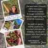 VASSILAKIS ESTATE 08037 - Charisma Natives Olivenöl Extra Produktbild-Vorschau 3