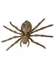 Skelett Spinne als Halloween Dekoration 24cm Produktbild-Vorschau 2